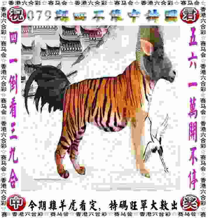 安徽文一客场大胜贵州 两连败后找回赢球感觉